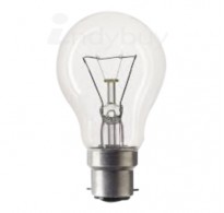 100W Clear Bulb